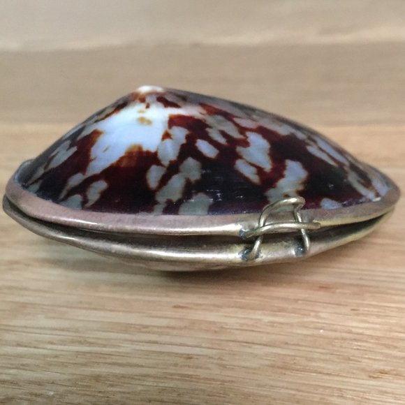 Vintage Accessories - Vintage Shell Pill Box Brass Edge Seashell Coins